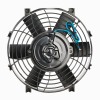 fan3.jpg